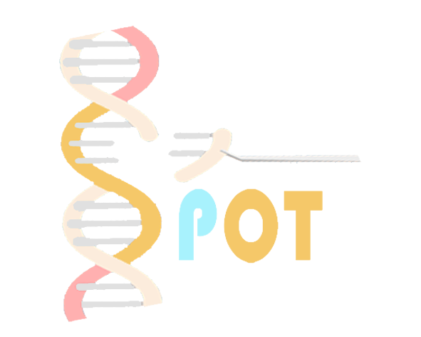 _images/LOGO.png
